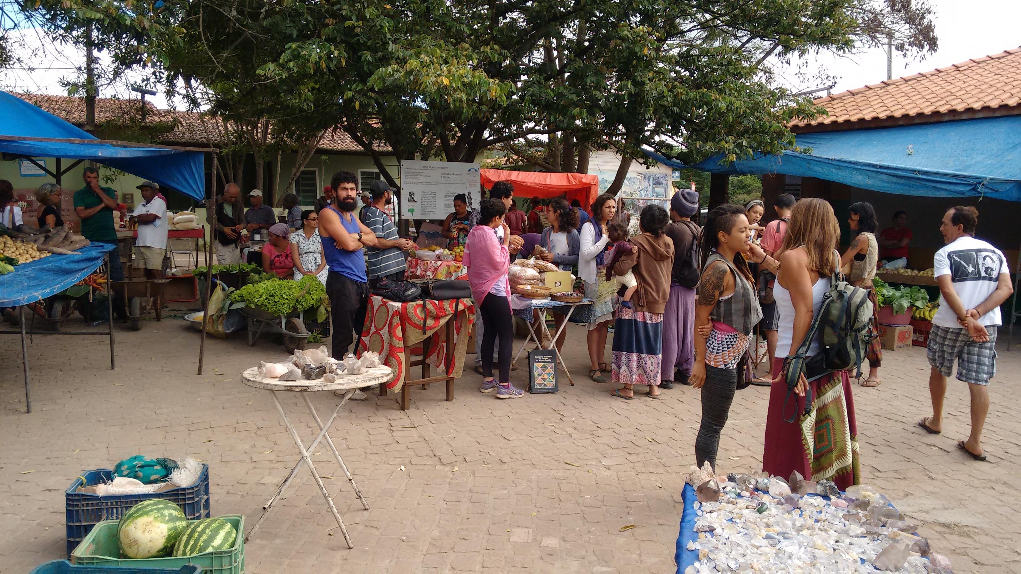 Importancia de la comunidad y la solidaridad en la experiencia campamentista
