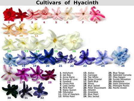 La importancia de cultivar la virtud en las tareas diarias