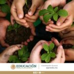 El cuidado del medio ambiente: una responsabilidad cristiana