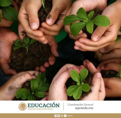 El cuidado del medio ambiente: una responsabilidad cristiana