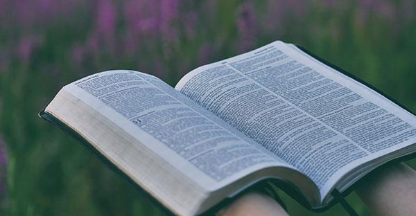 La importancia de la lectura espiritual en la formación juvenil