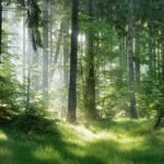 Las leyendas y mitos en la tradición cristiana