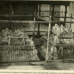 La evolución de la literatura católica a través de los siglos