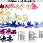 Cómo cultivar la vocación misionera en los hijos