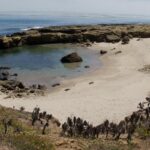 El día de San Nicolás: el santo de la generosidad