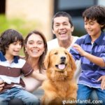 El valor de la lectura espiritual en la vida familiar