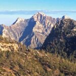 La figura del mártir en la literatura y el cine contemporáneo