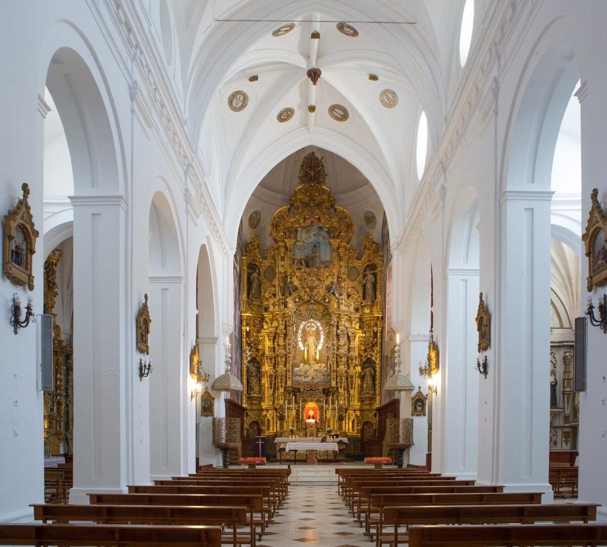 La Iglesia frente a los desafíos de la bioética contemporánea