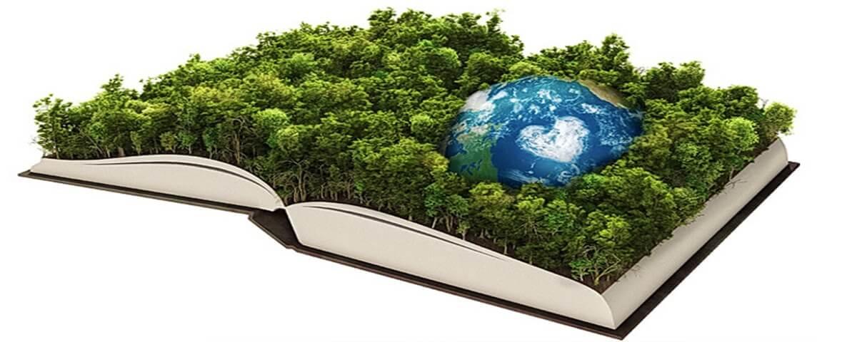 Importancia de la concienciación ambiental desde temprana edad