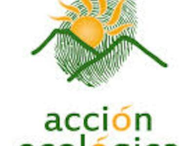 Recomendaciones para la acción ecologica de la comunidad religiosa