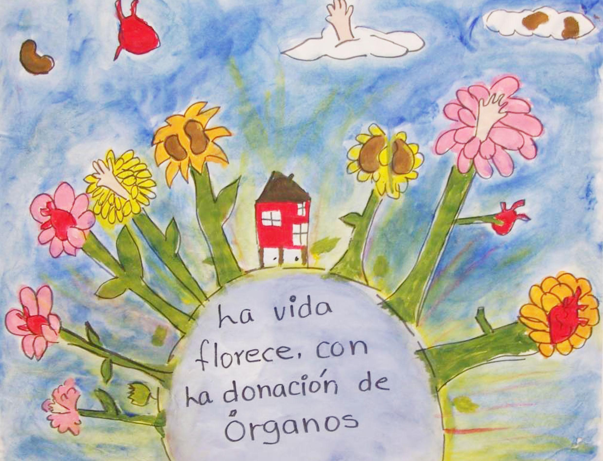 Recomendaciones para fomentar la cultura de la donación en una sociedad materialista