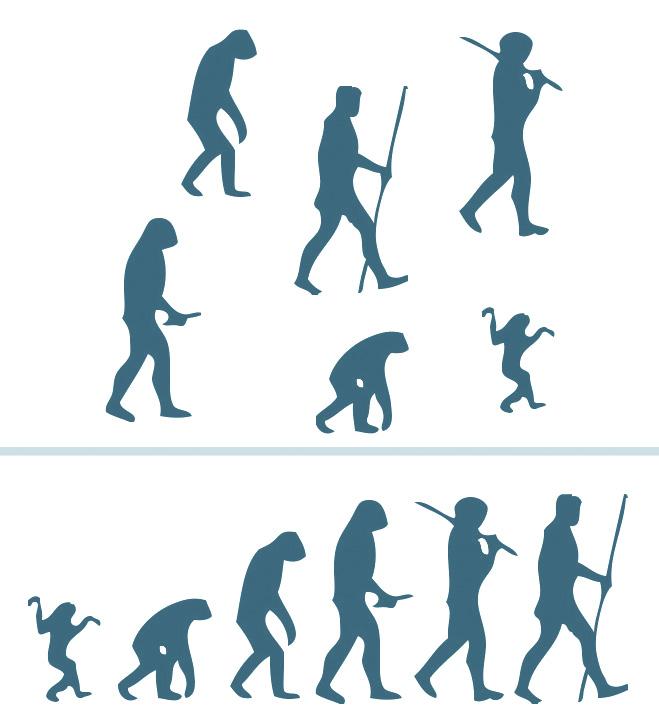 La evolución de los diseños y materiales utilizados