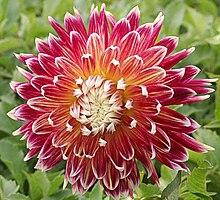 Recomendaciones para cultivar la fortaleza en la vida espiritual