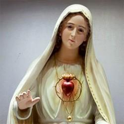 La protección y⁤ guía del Inmaculado Corazón en la fe cristiana