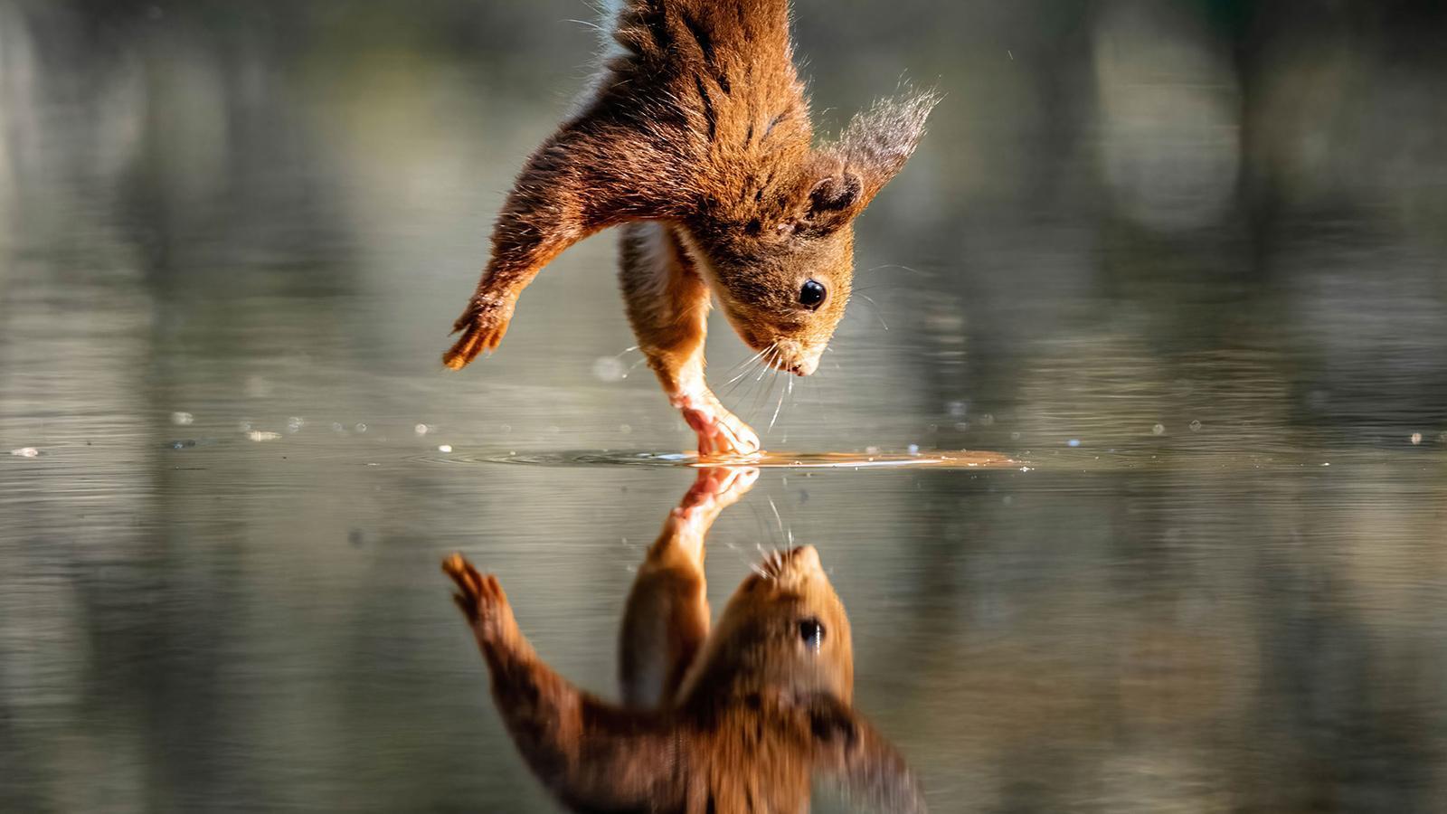 Reflejo de la espiritualidad en la pantalla grande