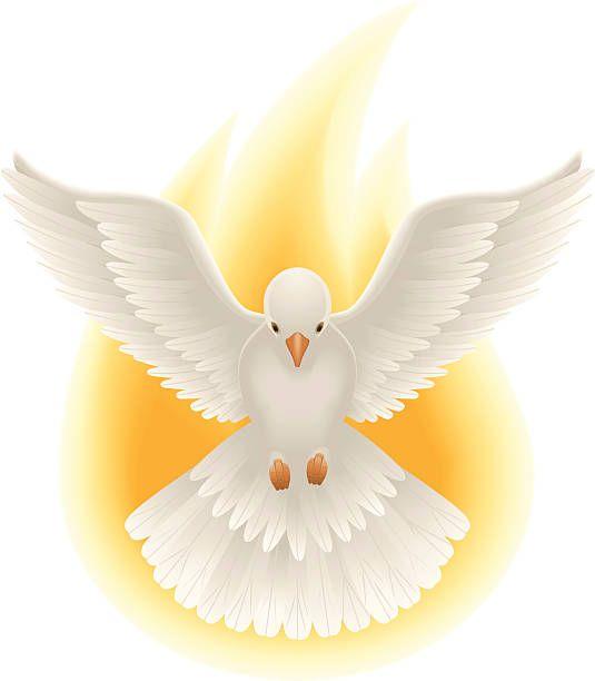 El⁤ papel del Espíritu⁣ Santo⁤ en ⁤la santificación del‍ creyente