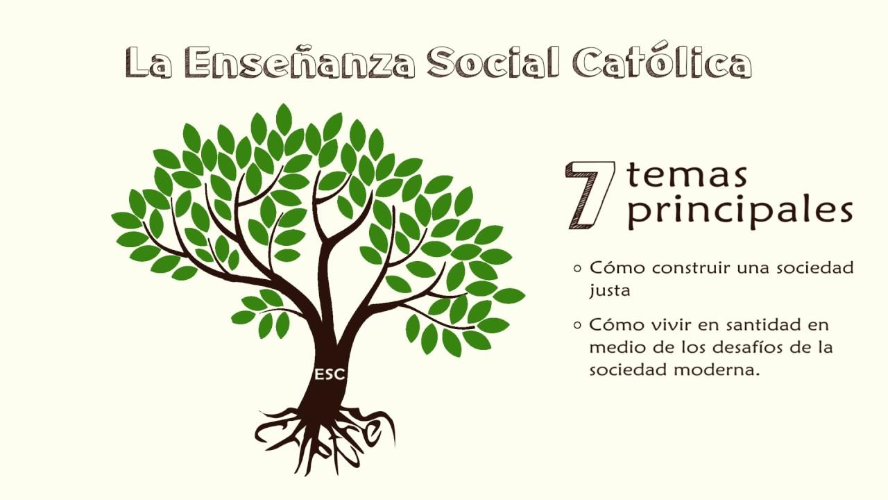 Reto de integrar enseñanzas católicas con información científica