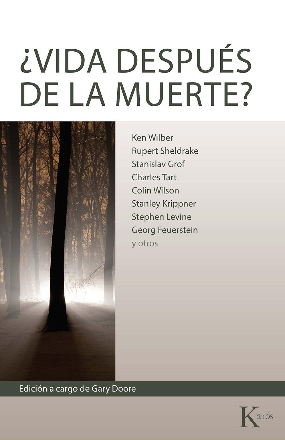 Introducción al concepto de vida después de la muerte