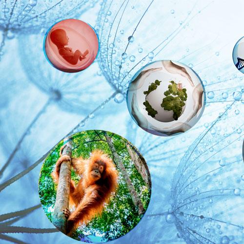 Recomendaciones para aplicar la bioética cristiana en la práctica profesional