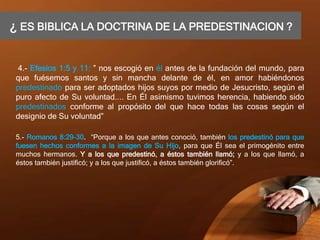 Recomendaciones para comprender y reflexionar sobre la doctrina de la predestinación en el catolicismo
