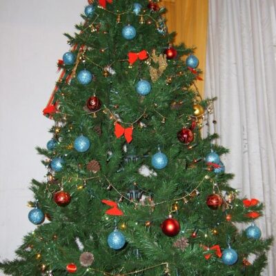 El significado de la Navidad en la vida del cristiano