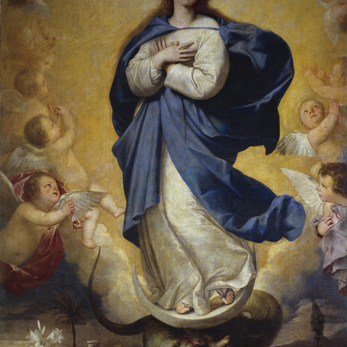 La doctrina de la Asunción de María