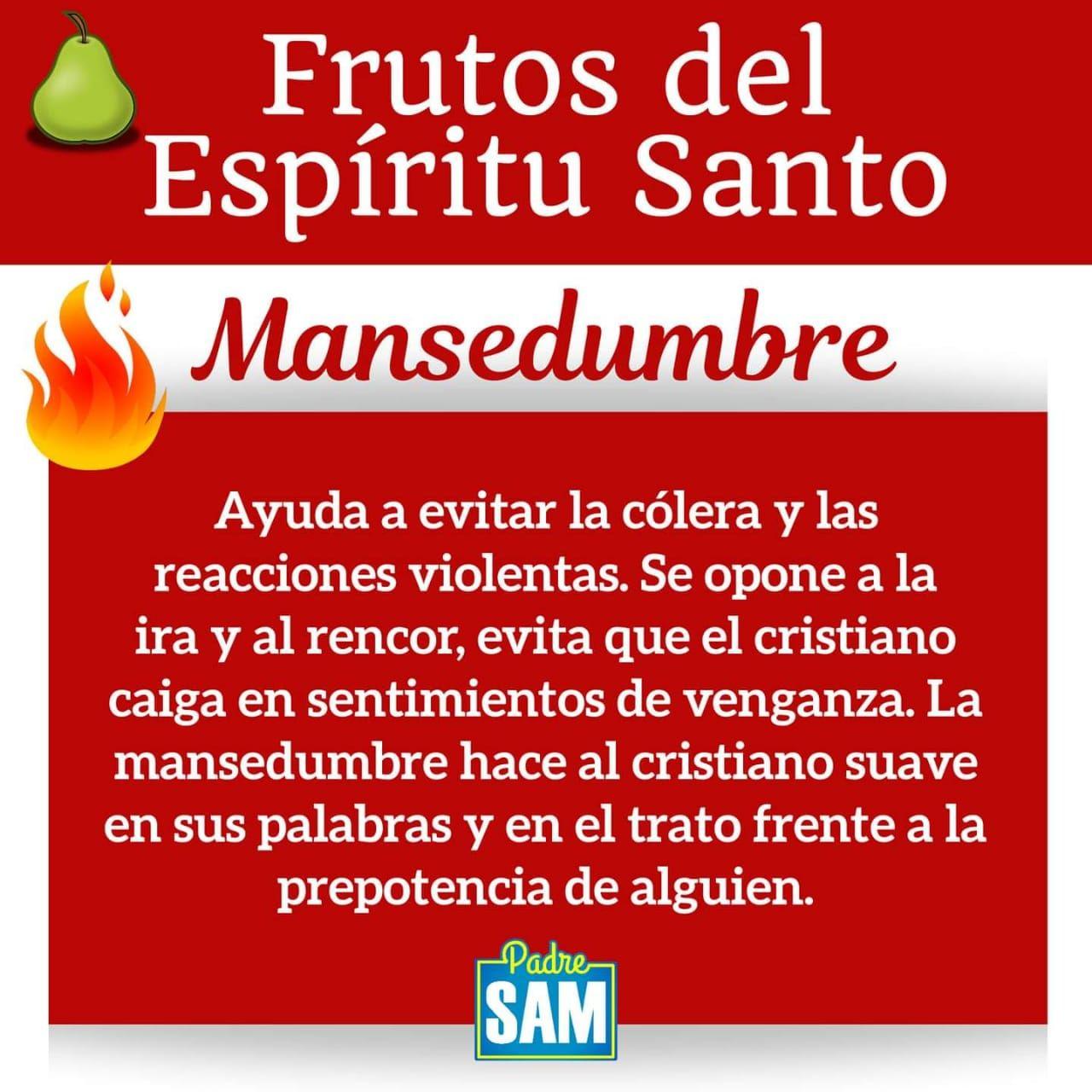 Beneficios de practicar la mansedumbre según la enseñanza cristiana