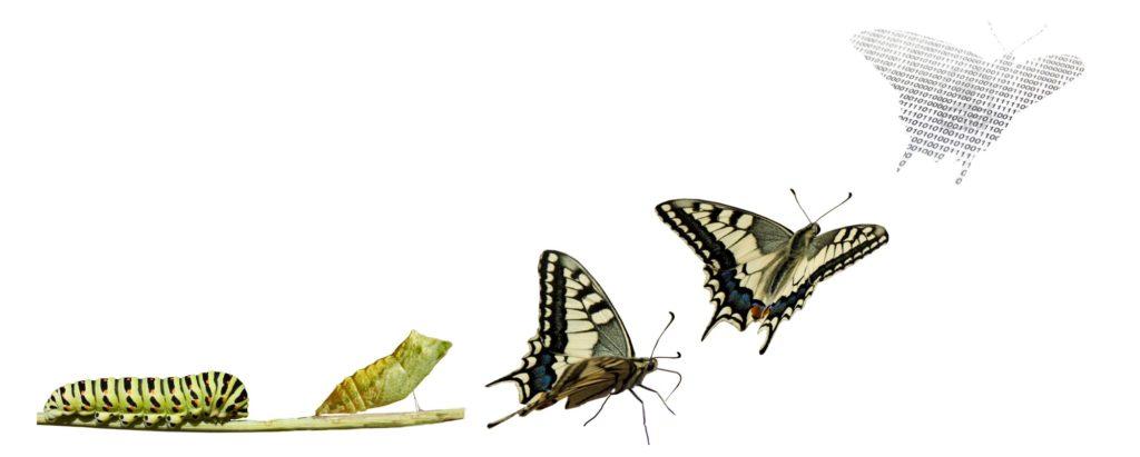 Transformación​ de la imagen‍ pública ‌de la Iglesia Católica