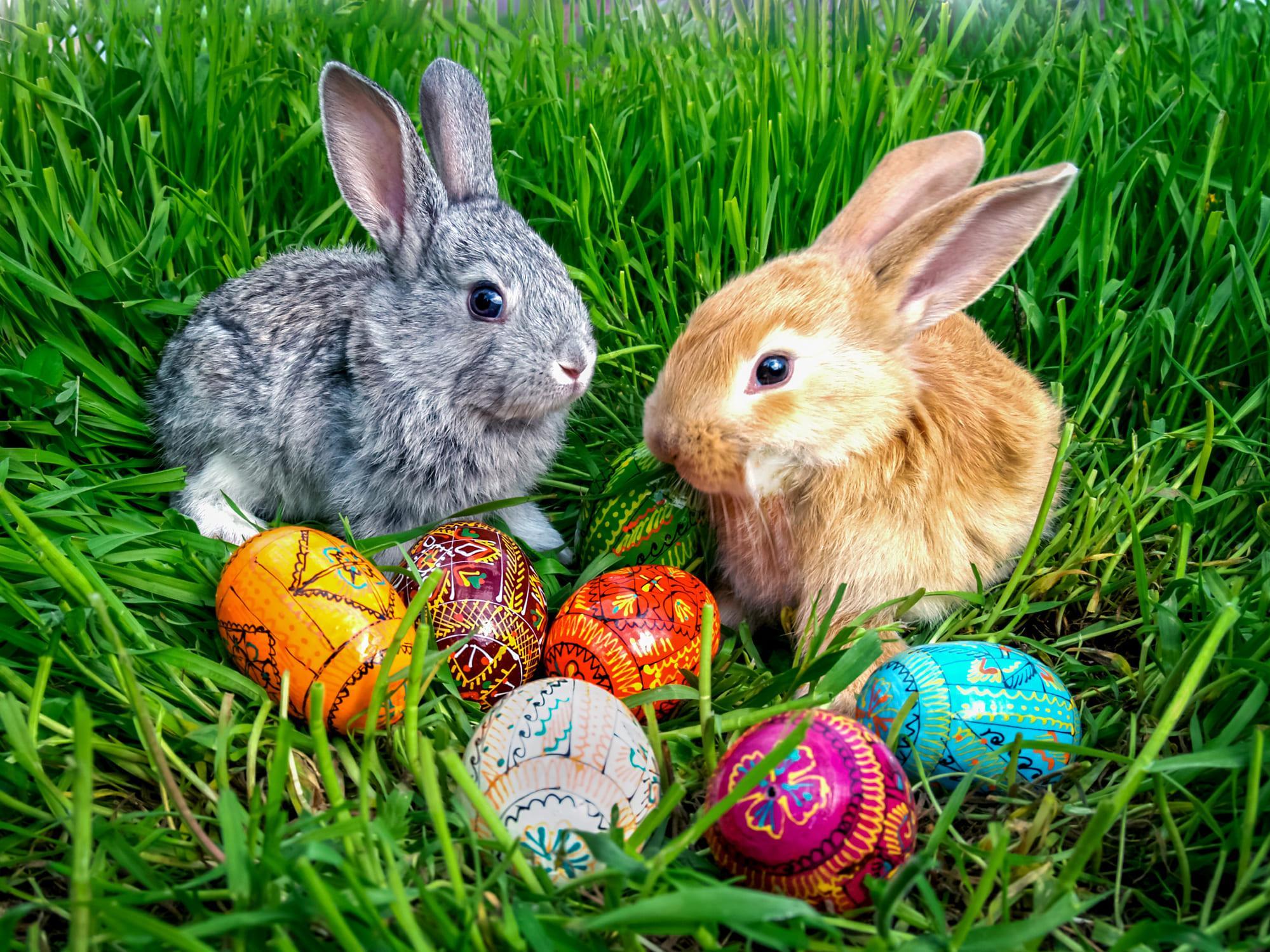 El significado ​religioso de la celebración de⁤ la ‌Pascua