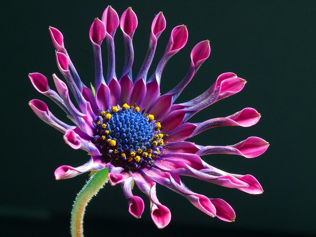 Recomendaciones para cultivar⁢ el⁤ hábito del silencio y la oración en la vida diaria