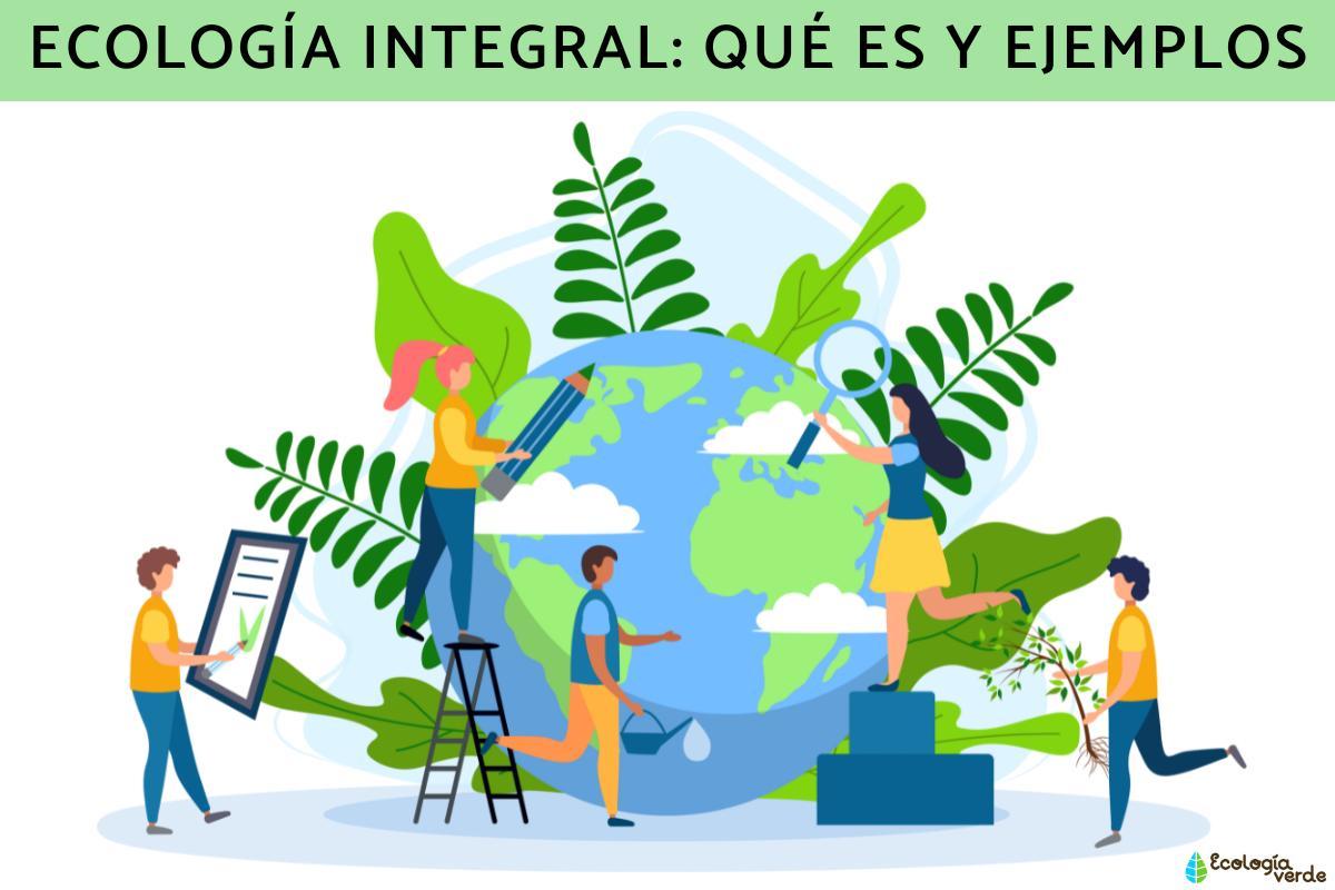 Exploración de los conceptos de ecología integral y cuidado‍ de la creación