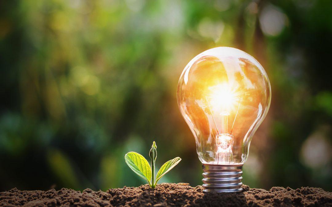 Recursos para ⁣enseñar​ la⁤ fe en la familia