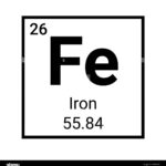 La fe en tiempos de guerra: El rol de la Iglesia en zonas de conflicto