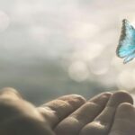 Educar en el respeto por la vida: Valores católicos para niños y jóvenes