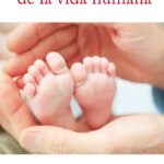 La defensa de la vida: La postura de la Iglesia ante el aborto y la eutanasia