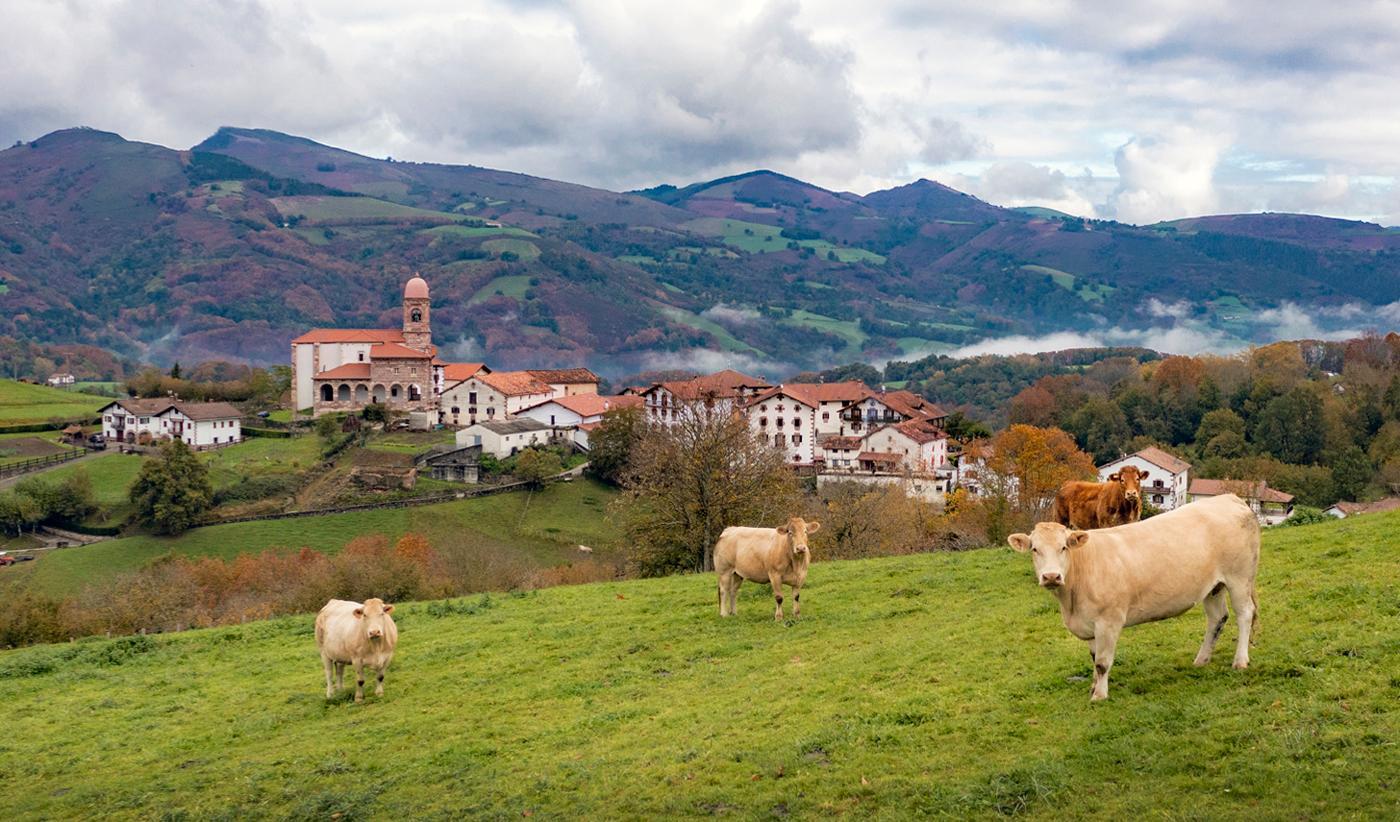 Recomendaciones para disfrutar al máximo de las celebraciones en Navarra