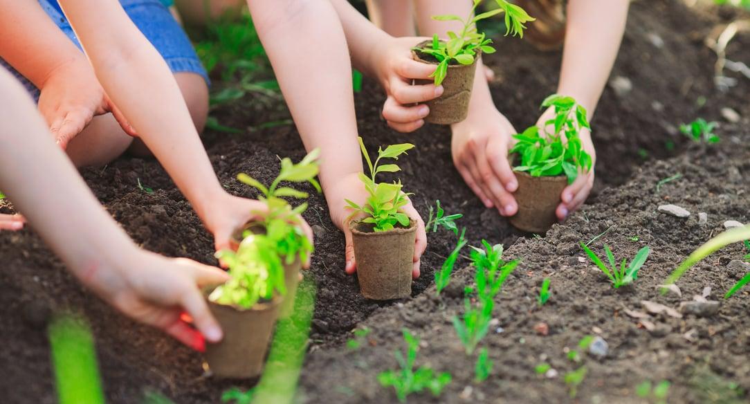 - Prácticas​ ecológicas inspiradas en‌ la filosofía de San Francisco ‌de Asís