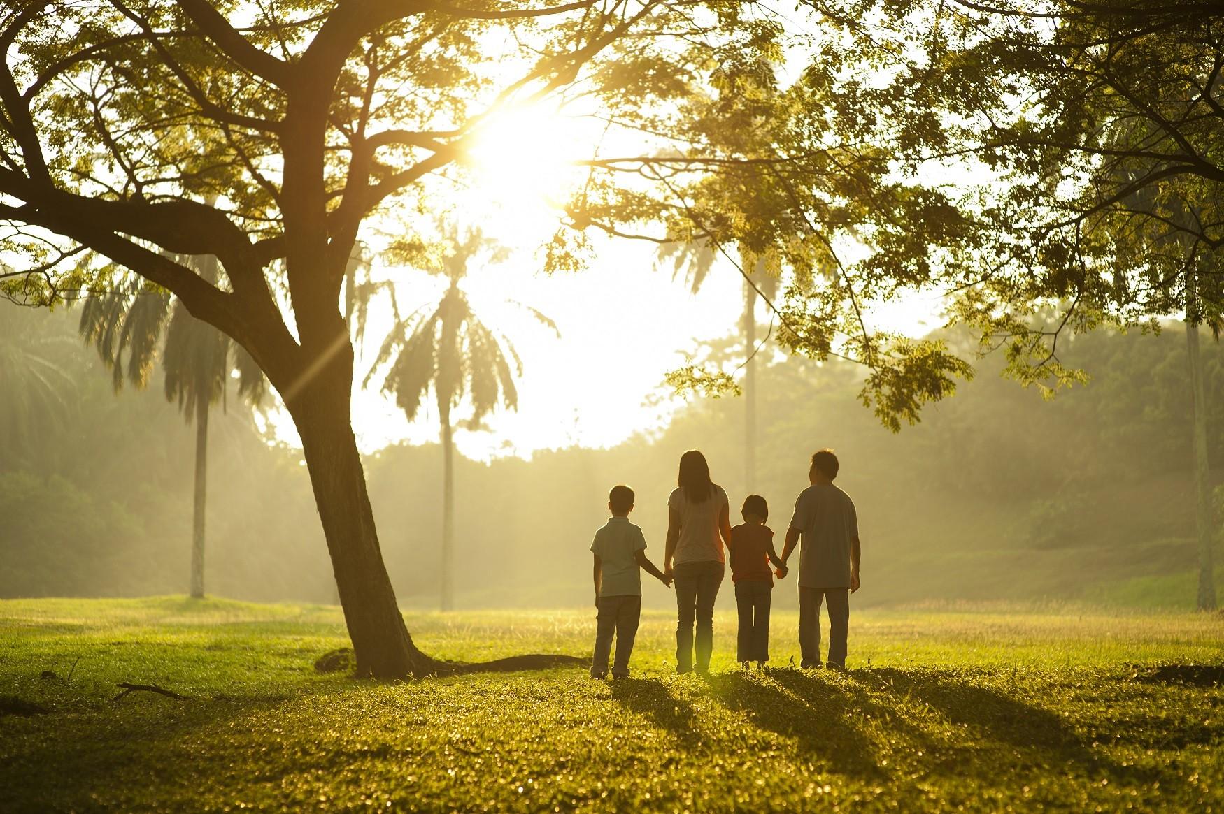Crear un ​ambiente familiar ⁣propicio⁤ para el aprendizaje espiritual